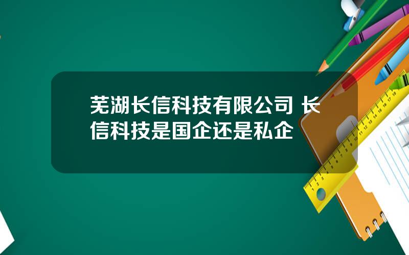 芜湖长信科技有限公司 长信科技是国企还是私企